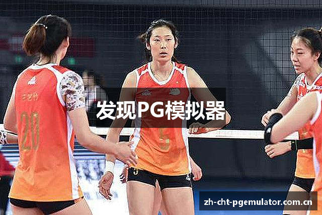 发现PG模拟器